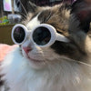 Dog/Cat Sunglasses