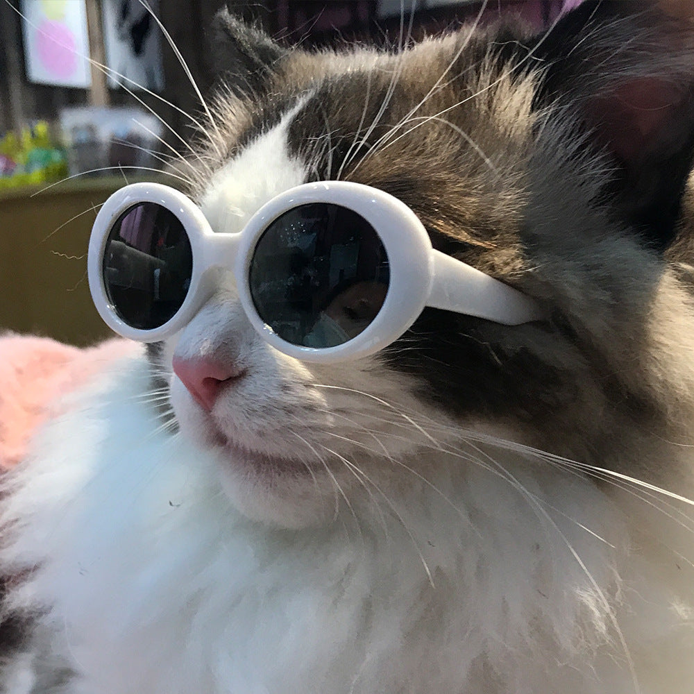 Dog/Cat Sunglasses