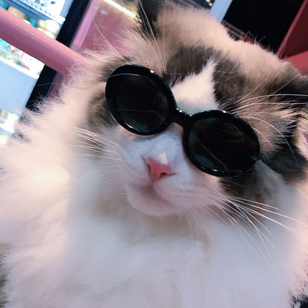 Dog/Cat Sunglasses