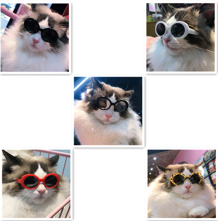 Dog/Cat Sunglasses