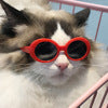 Dog/Cat Sunglasses